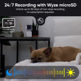 Cámara de seguridad Wyze Cam Pan V3